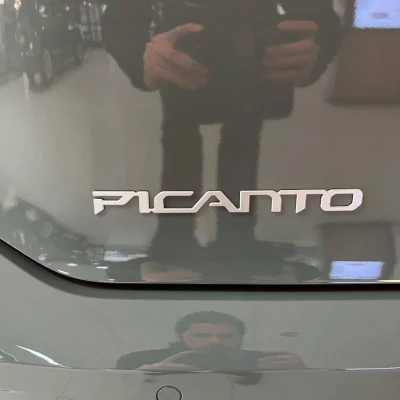 Picanto 1.2 DPi 79 ch BVM5 GT-line -  - Garage sportif - 15/67