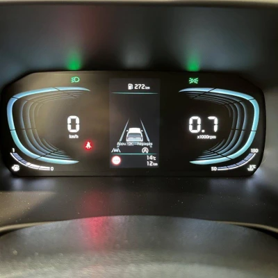 Picanto 1.2 DPi 79 ch BVM5 GT-line -  - Garage sportif - 30/67