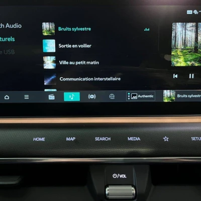 EV9 385 ch AWD GT Line -  - Garage sportif - Champagnole - 77/101