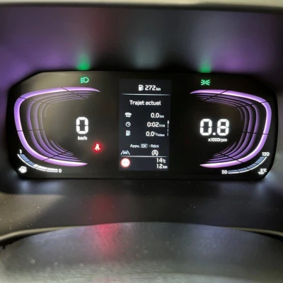 Picanto 1.2 DPi 79 ch BVM5 GT-line -  - Garage sportif - 26/67