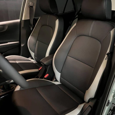 Picanto 1.2 DPi 79 ch BVM5 GT-line -  - Garage sportif - 16/67