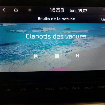 Stonic 1.0 T-GDi 120 ch MHEV BVM6 GT Line Premium -  - Garage sportif - Champagnole - 46/52