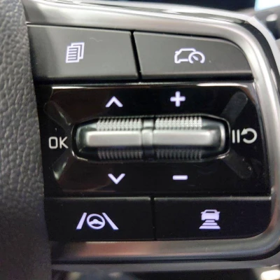 Sorento 1.6 T-GDi 252ch Hybride Rechargeable 7 pl BVA6 4x4 Premium -  - Garage sportif - 29/90