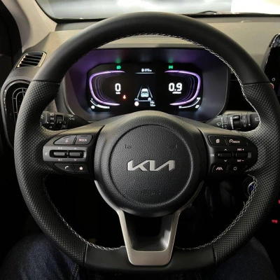 Picanto 1.2 DPi 79 ch BVM5 GT-line -  - Garage sportif - 21/67