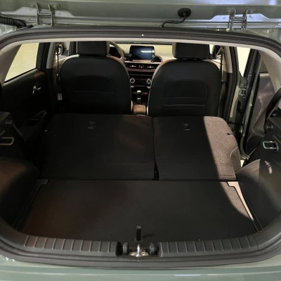 Picanto 1.2 DPi 79 ch BVM5 GT-line -  - Garage sportif - 65/67