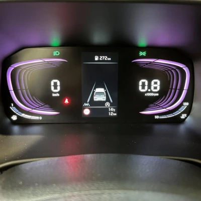 Picanto 1.2 DPi 79 ch BVM5 GT-line -  - Garage sportif - 25/67