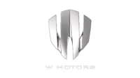 W Motors