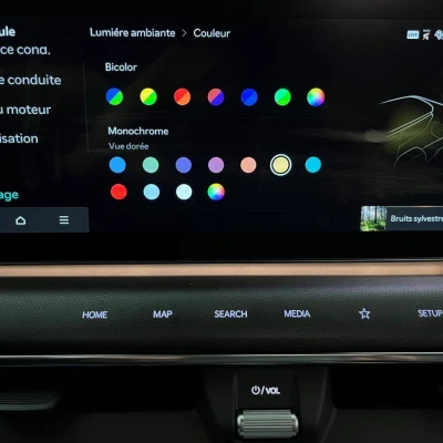 EV9 385 ch AWD GT Line -  - Garage sportif - Champagnole - 94/101