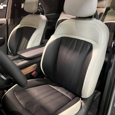 EV9 385 ch AWD GT Line -  - Garage sportif - Champagnole - 19/101