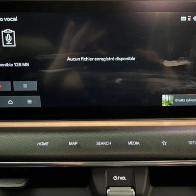 EV9 385 ch AWD GT Line -  - Garage sportif - Champagnole - 79/101