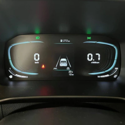 Picanto 1.2 DPi 79 ch BVM5 Active -  - Garage sportif - 29/49