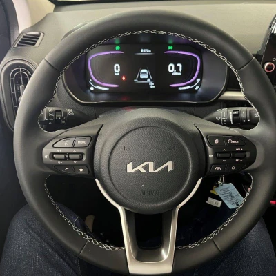 Picanto 1.2 DPi 79 ch BVM5 Active -  - Garage sportif - 23/60