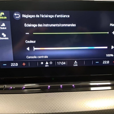 Octavia Combi 1.5 TSI mHEV e-TEC 150 ch ACT DSG7 Business -  - Garage sportif - Champagnole - 48/55