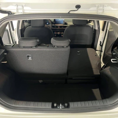 Picanto 1.2 DPi 79 ch BVM5 Active -  - Garage sportif - 60/60